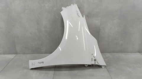 BŁOTNIK LEWY PRZÓD PRZEDNI RENAULT ZOE 2012-2024 PLASTIK OEM 631018491R