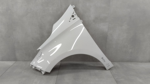 BŁOTNIK LEWY PRZÓD PRZEDNI RENAULT ZOE 2012-2024 PLASTIK OEM 631018491R