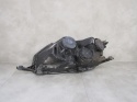 LAMPA PRZÓD SKODA RAPID ZWYKŁA 12-16 PRAWA RH 5JB941018