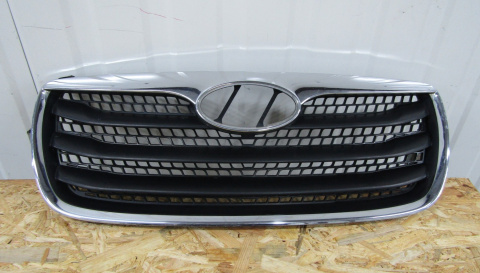GRILL ATRAPA HYUNDAI SANTA FE II LIFT 09-12