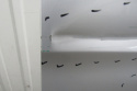 DRZWI BOK PRAWY PRZESUWNE FORD TRANSIT CUSTOM 12-21