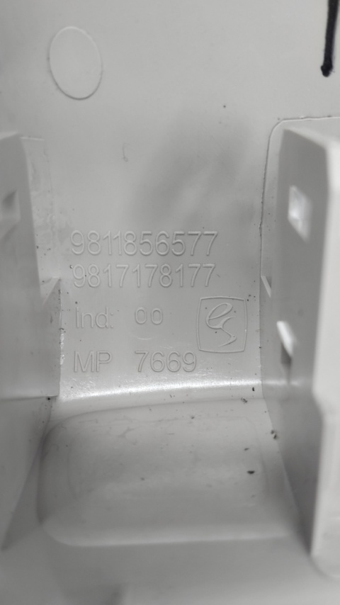 LAMPKA OŚWIETLENIA KABINY z podsufitki Citroen C3 III lift 9811856577 20-